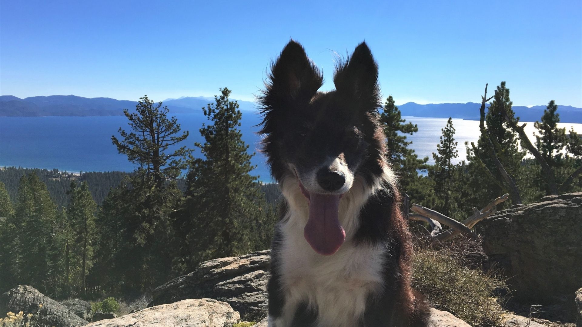 luca lake tahoe