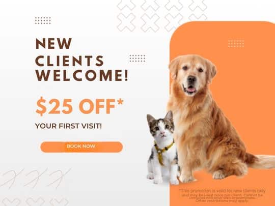 New clients welcome 40-off